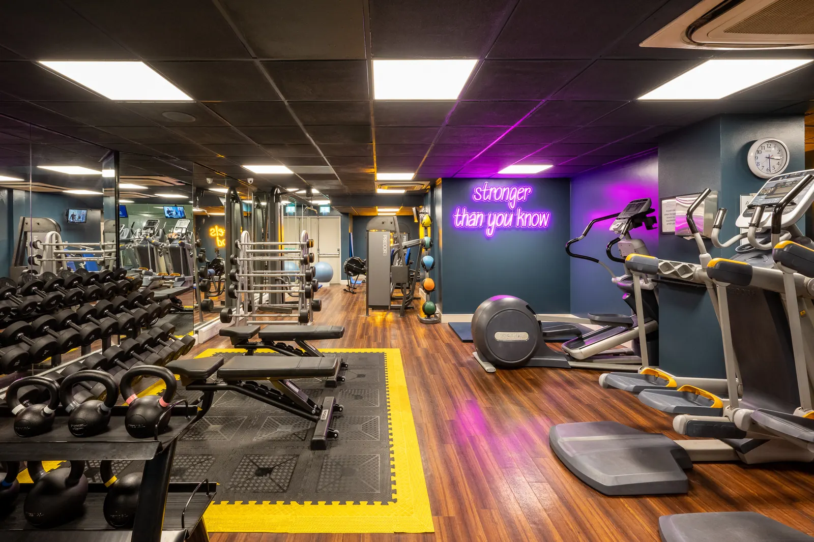 Gym floor with free weights and cardio machines