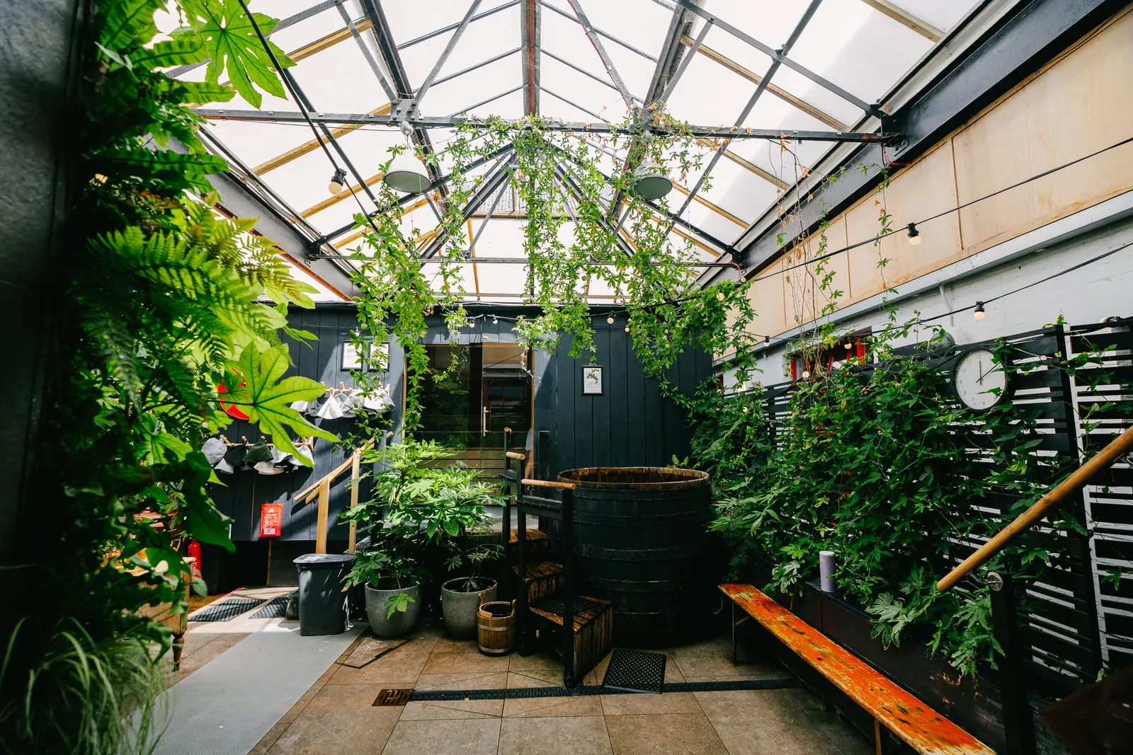 Plant-filled glass-roofed yard