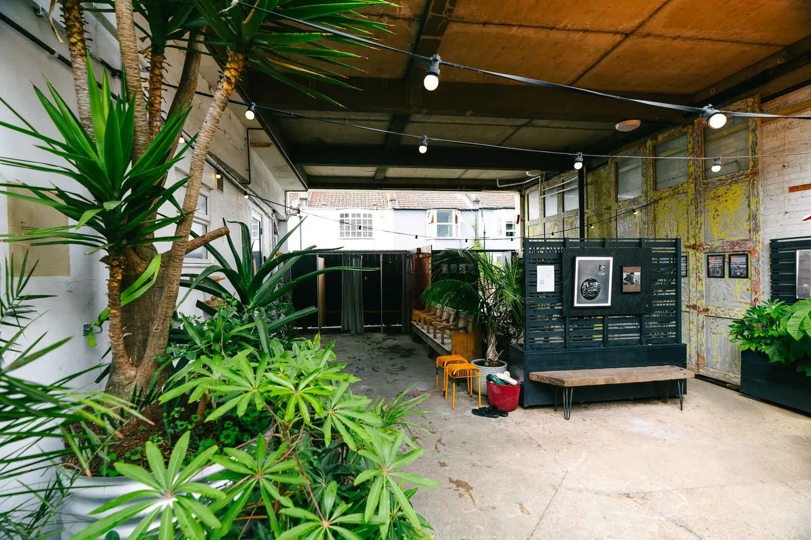 Courtyard with plants and benches